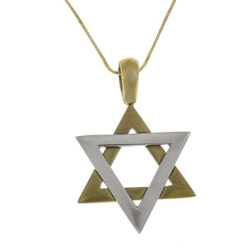 תליון - מגן דוד, זהב צהוב לבן 14 קראט